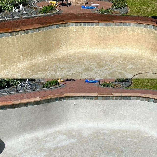 green water pool in a backyard with sealed white concrete deck